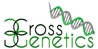 Cross Genetics Dispensary - Denver
