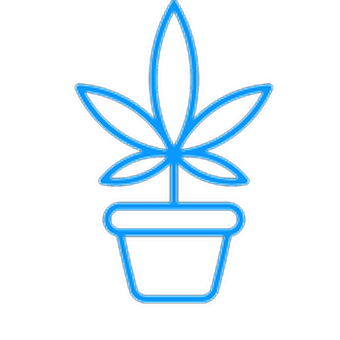 Flower Pot - Cannabis Dispensary