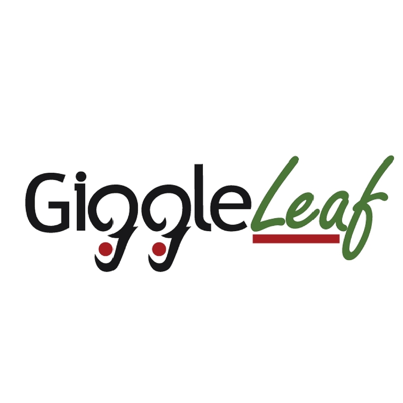 Giggle Leaf