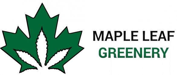 Maple Leaf Greenery - Osoyoos