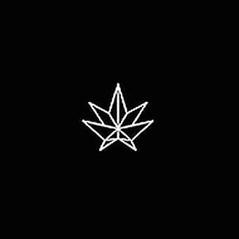 Shiny Bud Cannabis - Cornwall