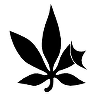 The Bend Cannabis Co. - Kensington