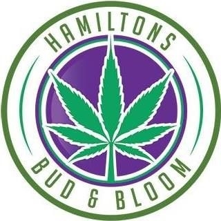 Hamiltons Bud &amp; Bloom Dispensary