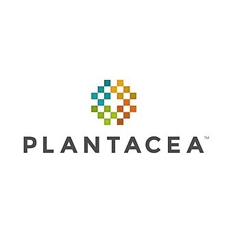 Plantacea - Seaside