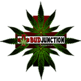 Bud Junction
