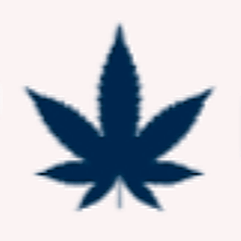 GP Cannabis Store
