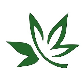 Hi-Roots Cannabis Co - Norman