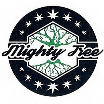 Mighty Tree - Denver