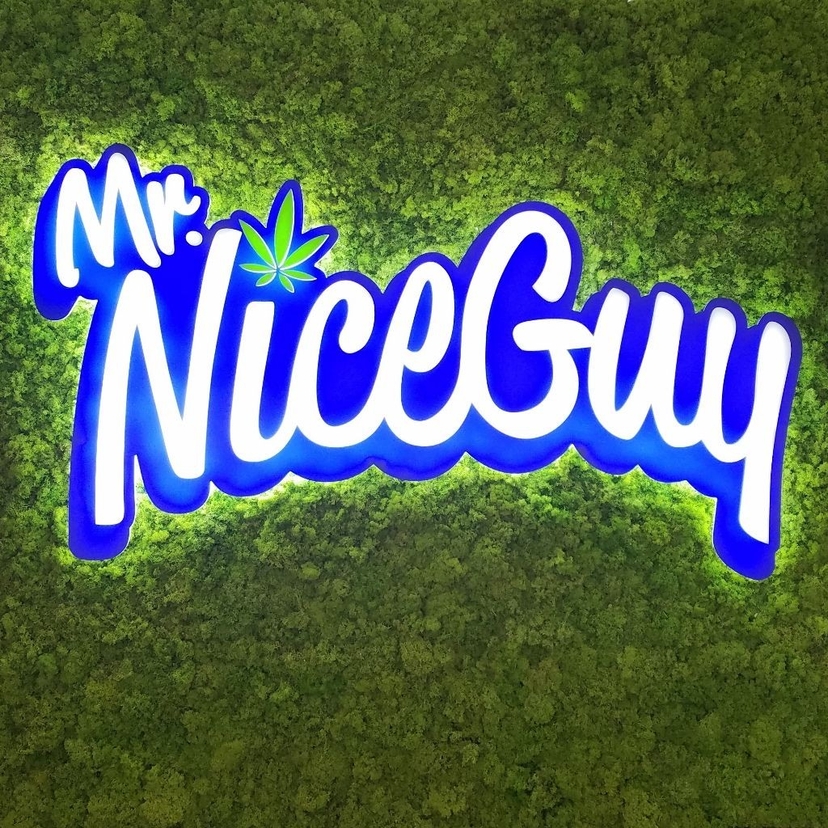 Mr. Nice Guy - Lebanon