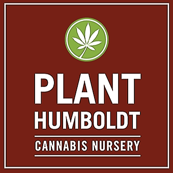 Plant Humboldt – Humboldt's Best Cannabis Plants
