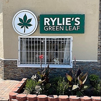 Rylie’s Green Leaf