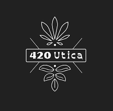 420 Utica &amp; Utica Pothole