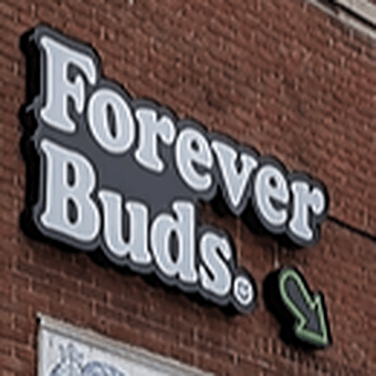 Forever Buds - Toronto