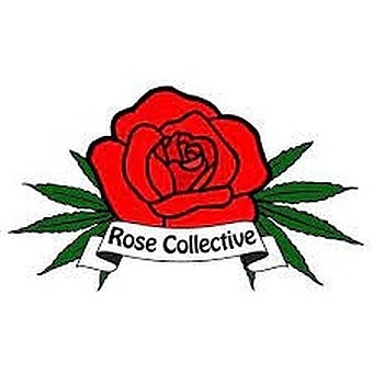 Venice — The Rose Collective